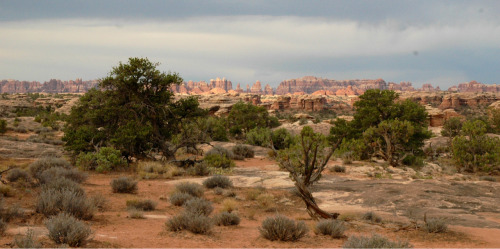 tumblr_m74nca72vj1rwuuw2o1_500