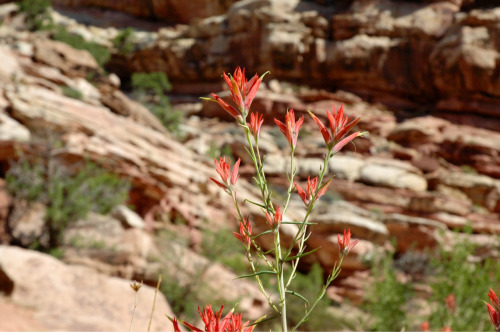 tumblr_m74nke1ddl1rwuuw2o1_500