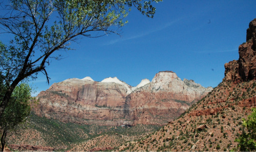 tumblr_m71080srtn1rwuuw2o1_500