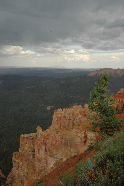 tumblr_m710exkz4t1rwuuw2o1_500