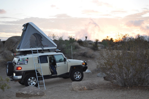 tumblr_mqct41vcez1rwuuw2o1_500