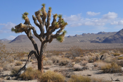 tumblr_mqeyx8ziwb1rwuuw2o1_500