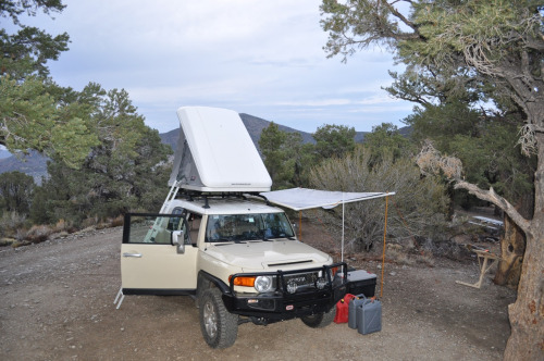 tumblr_mqez1kyzzg1rwuuw2o1_500