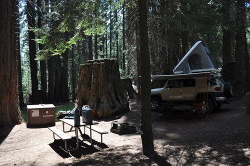 tumblr_mqivt6bows1rwuuw2o1_500