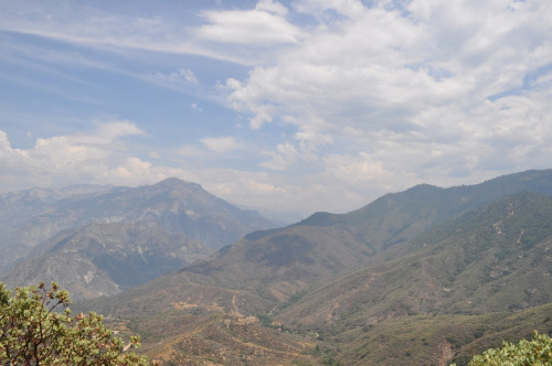 tumblr_mqjrv7aphs1rwuuw2o1_500