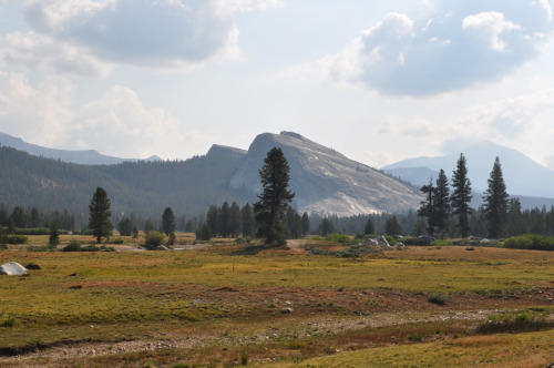 tumblr_mqtr6s43f01rwuuw2o1_500