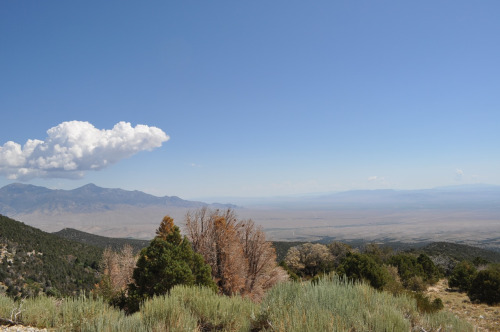 tumblr_mqtrbx0tho1rwuuw2o1_500