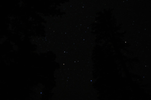 tumblr_mqtrg2nv961rwuuw2o1_500