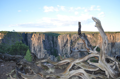 tumblr_mquvvmhm891rwuuw2o1_500